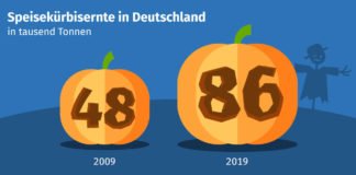 Speisekürbisernte in Deutschland in tausend Tonnen (Quelle: DESTATIS 2020)