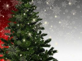 Symbolbild Weihnachten Weihnachtsbaum (Foto: Pixabay/Gerd Altmann)