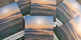 Die neue Ausgabe des Heimatkalenders für das Pirmasenser und Zweibrücker Land zeigt verschiedenste Facetten unseres Waldes auf. (Foto: Kreisverwaltung Südwestpfalz)