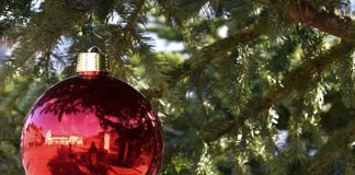 Zu einem schönen Weihnachtsfest gehört für viele Menschen ein hübsch geschmückter Christbaum einfach dazu. (Quelle: Stadt Landau)