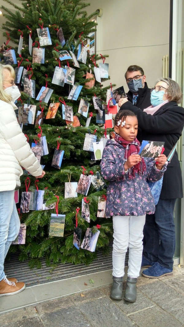 Kinder haben wieder Weihnachtswünsche an einen Tannenbaum gehängt, der in diesem Jahr in der Tourist-Info am Hetzelplatz steht. (Foto: Stadtverwaltung Neustadt)