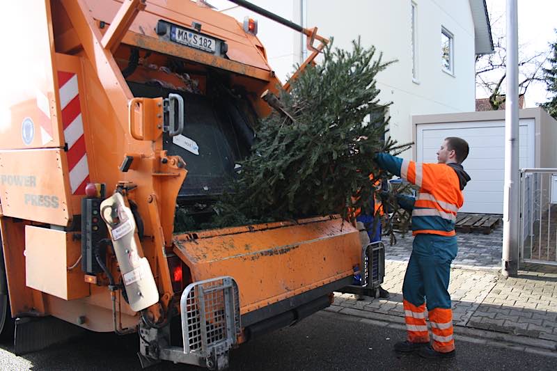Weihnachtsbaumabholung (Foto: Stadt Mannheim)