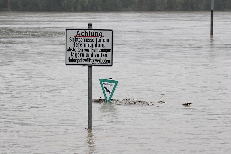 An der Mündung des Karlsruher Rheinhafens ist das Gelände vor dem Hochwasserdamm überschwemmt. (Foto: Stadt Karlsruhe)