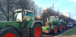Die Bauern in Berlin - Foto: privat