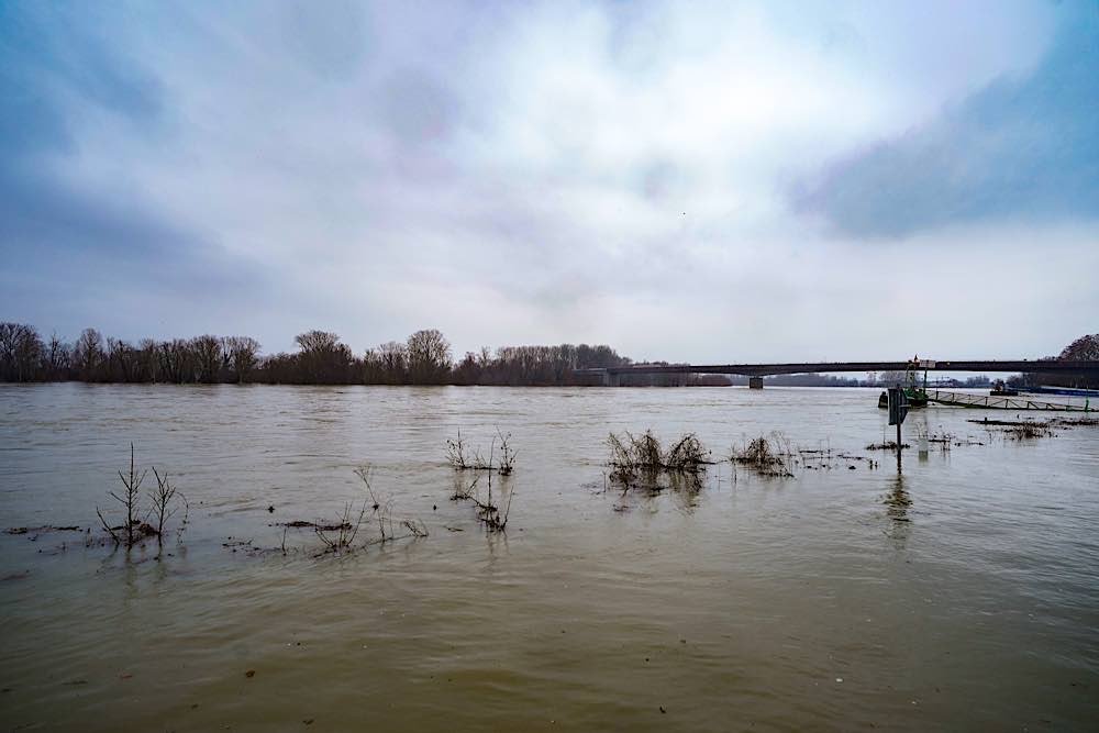 Der Rhein bei Speyer am Sonntag, 31.01.2021 (Foto: Holger Knecht)
