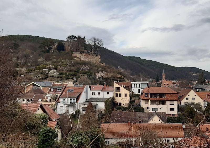 Blick auf Haardt und das Haardter Schloss bei Neustadt im Frühjahr 2021 (Foto: Biosphärenreservat Pfälzerwald)