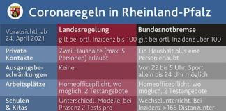 Landes- und Bundesregelungen (Foto: Staatskanzlei Rheinland-Pfalz)