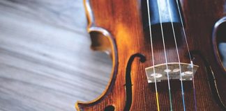 Symbolbild Violine Geige (Foto: Pixabay)