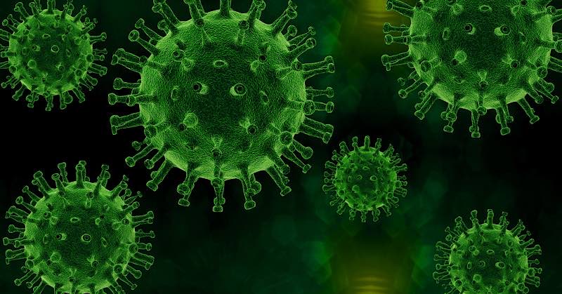 Symbolbild Coronavirus (Foto: Pixabay/PIRO4D)