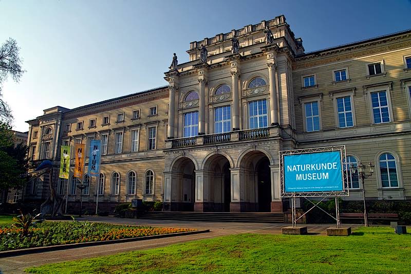 Museumsgebäude (Foto: SMNK)