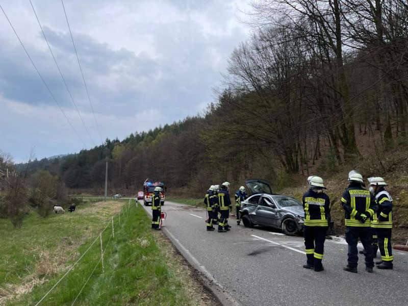 Verkehrsunfall bei Speyerbrunn (Foto: Presseteam der Feuerwehr VG Lambrecht)