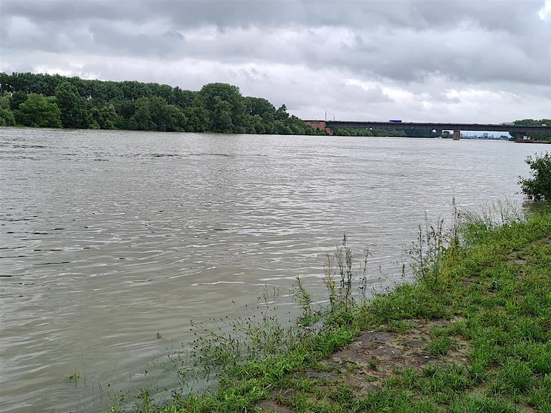 Rhein-Hochwasser (Foto: Feuerwehr Frankenthal)