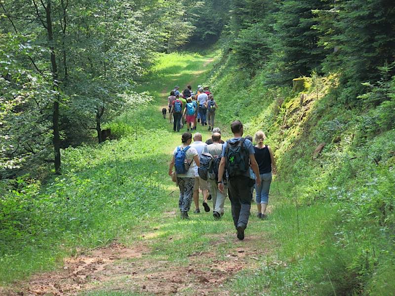 Mit den Biosphären-Guides unterwegs im Biosphärenreservat Pfälzerwald-Nordvogesen (Foto: Biosphärenreservat)