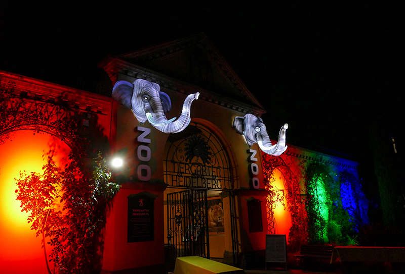 Noch bis zum 28.11.21 können Besucher das Heidelberger Zoo-Leuchten besuchen. (Foto: Heidrun Knigge/Zoo Heidelberg)