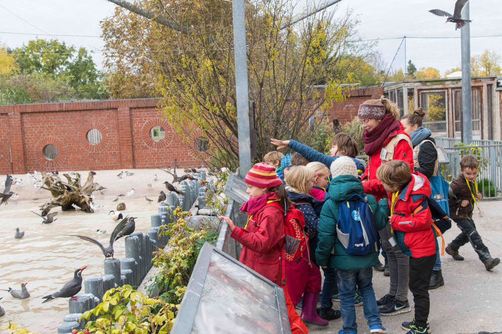 Auch an kalten Tagen ist es im Zoo spannend. Das Team der Zoo-Akademie im Zoo Heidelberg hat sich einiges einfallen lassen und ein tolles Programm für die kommende Winterzeit aufgestellt. (Foto: Zoo Heidelberg)