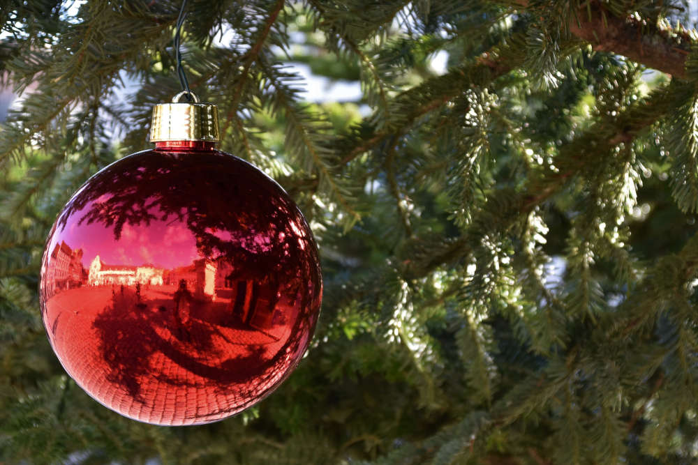 Zu einem schönen Weihnachtsfest gehört für viele Menschen ein hübsch geschmückter Christbaum einfach dazu. (Quelle: Stadt Landau)