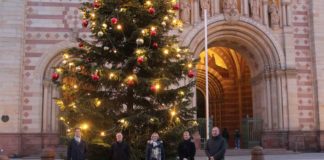 Vorstellung des Weihnachtsbaums vor dem Kaiserdom (Foto: Stadt Speyer)