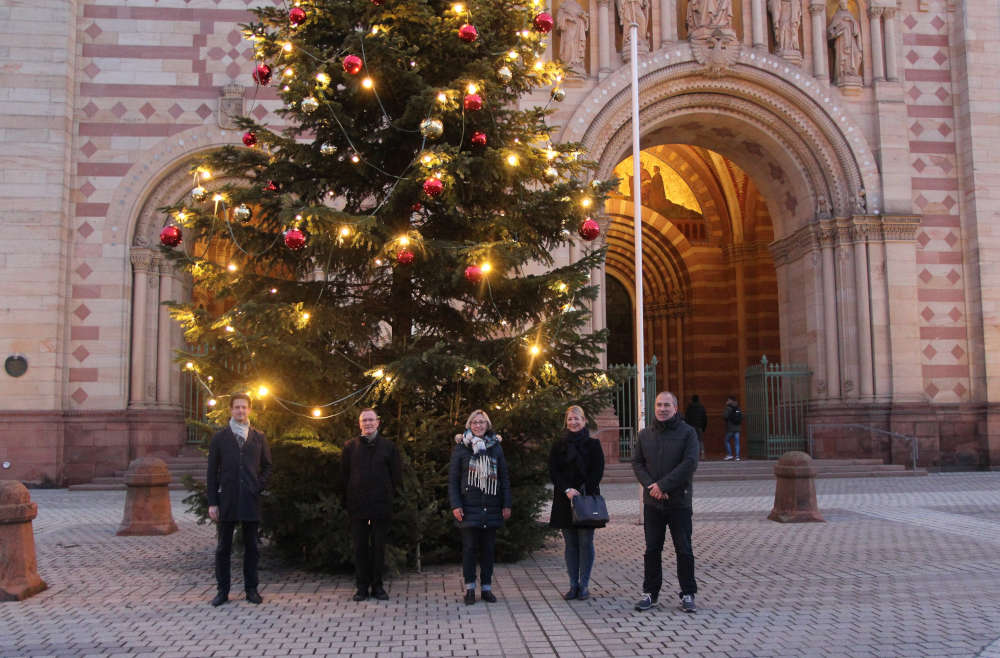 Vorstellung des Weihnachtsbaums vor dem Kaiserdom (Foto: Stadt Speyer)