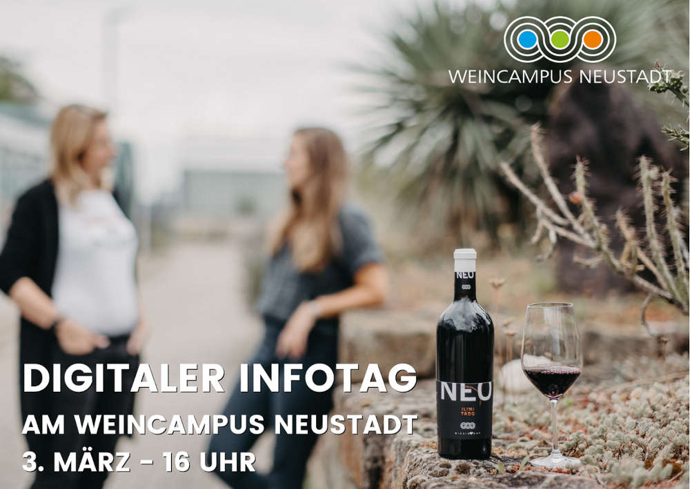 Digitaler Infotag (Foto: Weincampus/Stephan Presser)