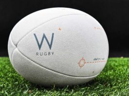 Symbolbild Rugby (Foto: Pixabay)
