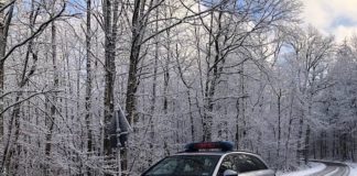 Funkstreifenwagen im Schnee (Foto: Polizei RLP)