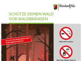 Plakat Schütze deinen Wald (Foto: Landesforsten RLP)