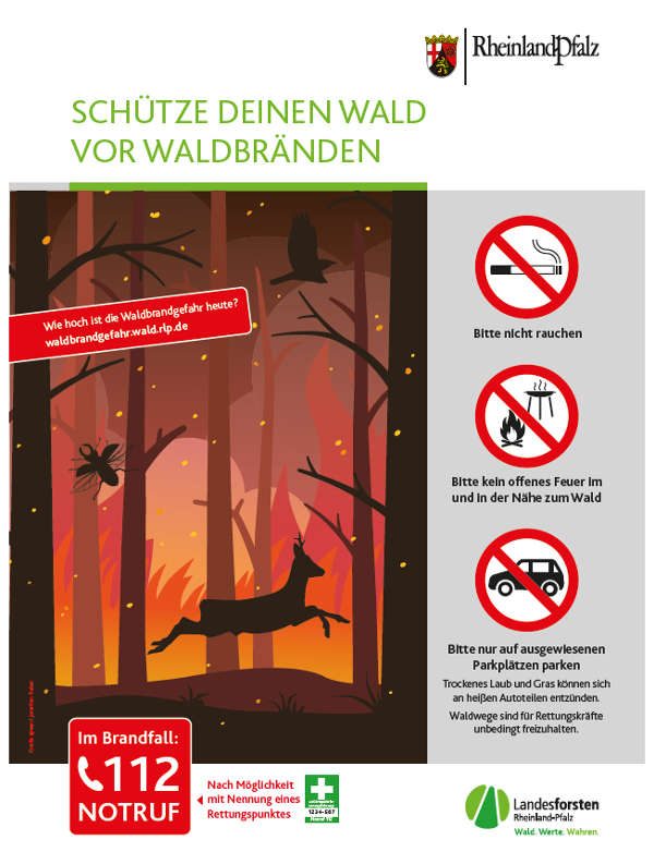 Plakat Schütze deinen Wald (Foto: Landesforsten RLP)