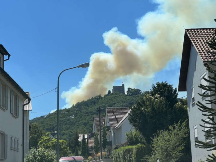 In Flammen standen etwa acht Hektar Wald am südlichen Hang südlich des Hambacher Schlosses (Foto: Feuerwehr Neustadt)